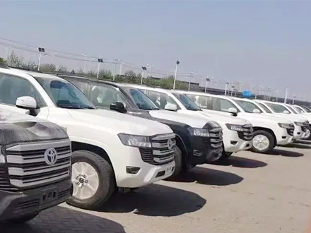 Comprehensive insurance international trade company - automobile import business to achieve a new breakthrough